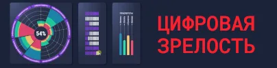 Цифровая зрелость